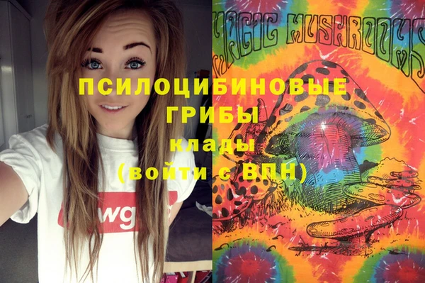 дурь Белая Холуница