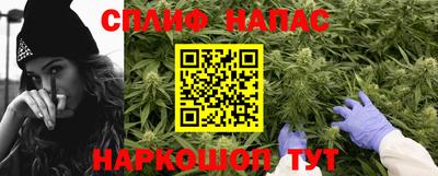 СК Гагарин