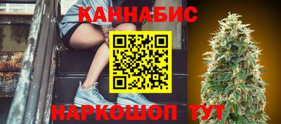 индика Абакан