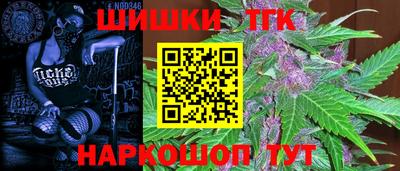 индика Абакан