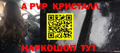 СК Гагарин
