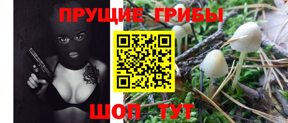 Псилоцибиновые грибы MAGIC MUSHROOMS  Псилоцибиновые грибы мухоморы  Кисловодск 