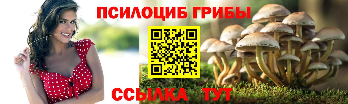 Псилоцибиновые грибы Cubensis Кисловодск